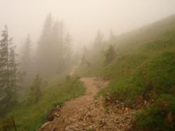 2013-06-22_Hirschhoerndl_Jochberg (103).JPG